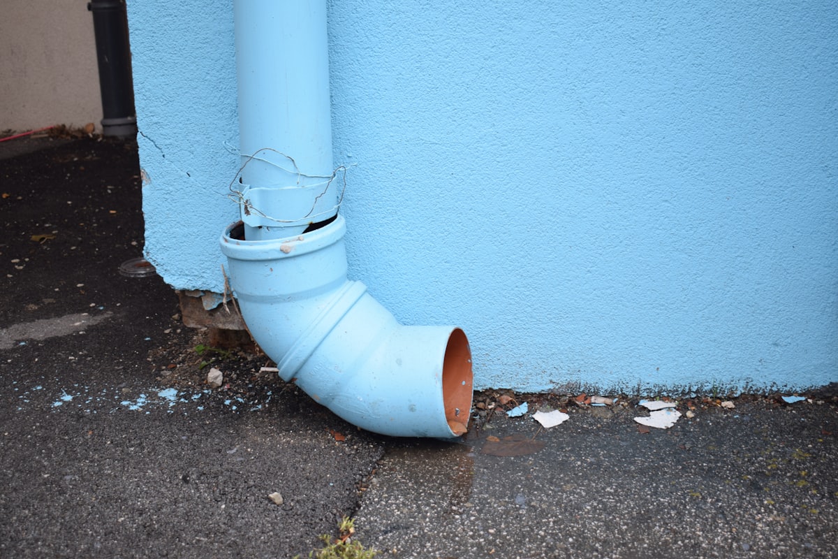 Mold Remediation service in San Marcos, TX