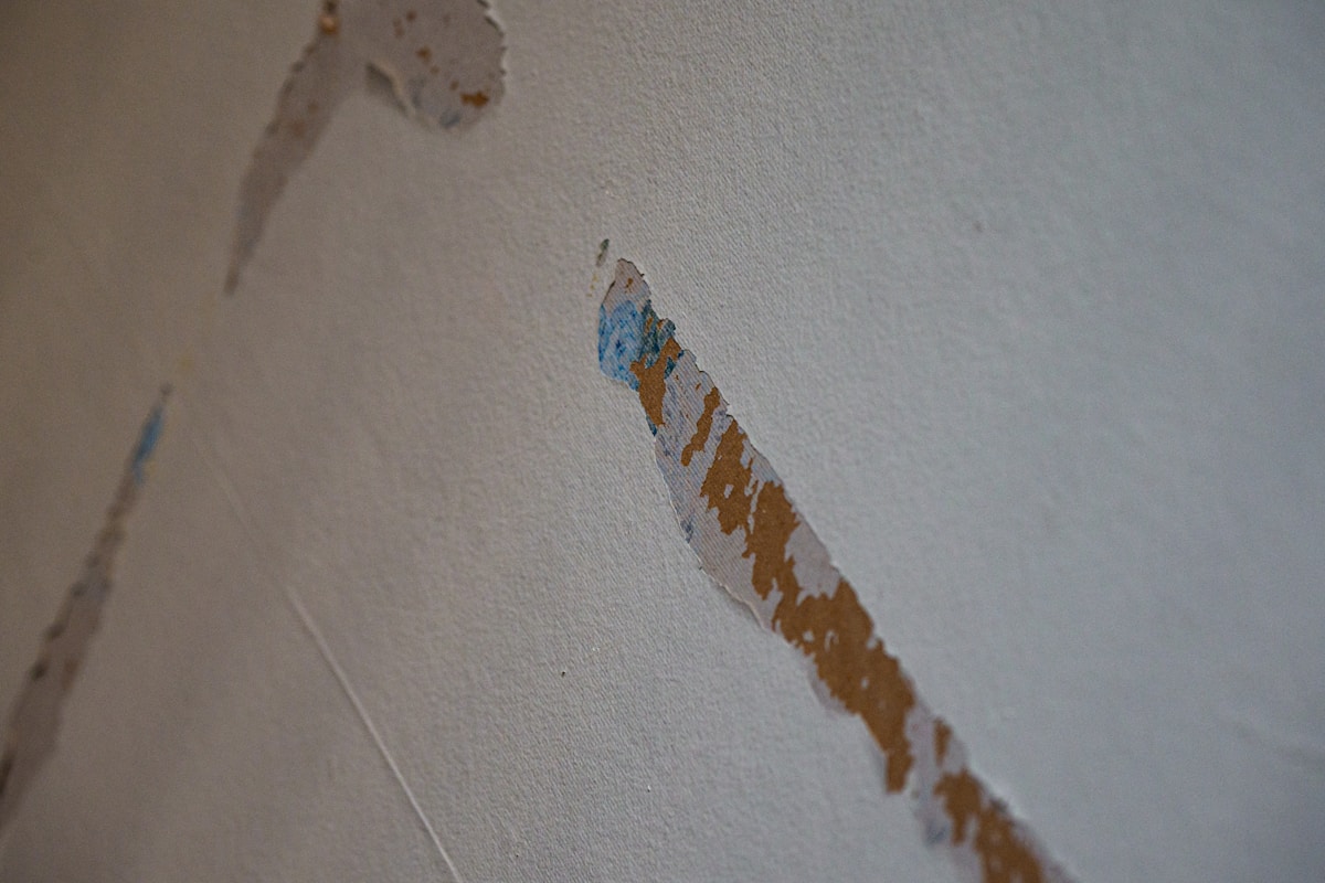 Mold Remediation service in San Marcos, TX